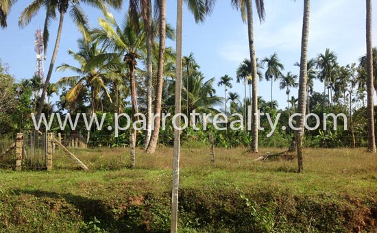Agricultural Land Fantastic 10cent plot for sale in Sultan Bathery  