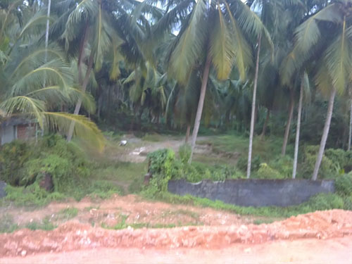 Commercial Land Commercial Land for sale Thodayad by pass road calicut 