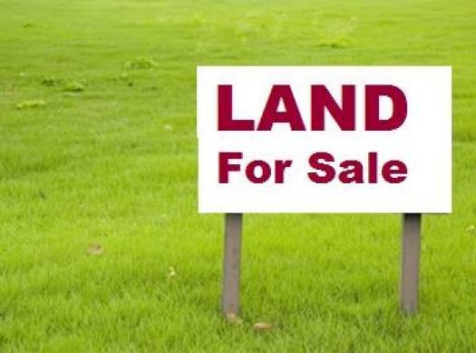 House Plot land/plot for sale in calicut chelavoor/kozhikode 