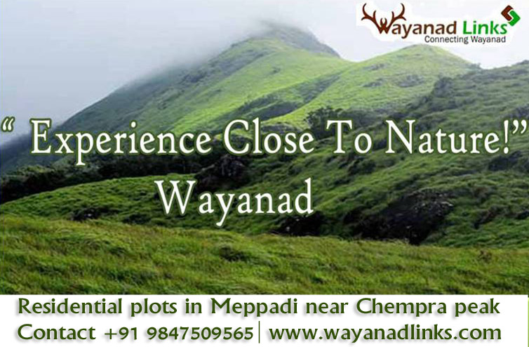 House Plot  Residential plots in Meppadi near Chempra peak -Wayanadlinks 