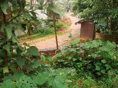 House Plot Palazhi,Kozhikode:residential land for sale 