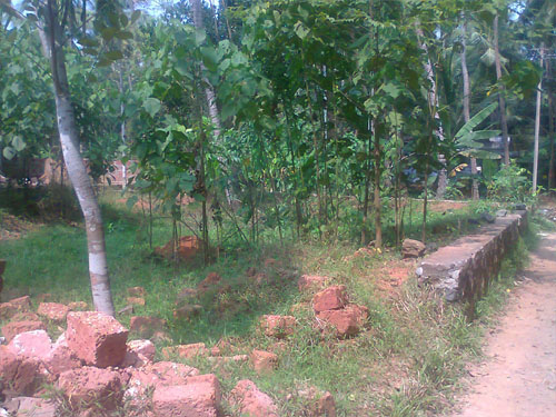 house plot for sale in calicut, vengeri