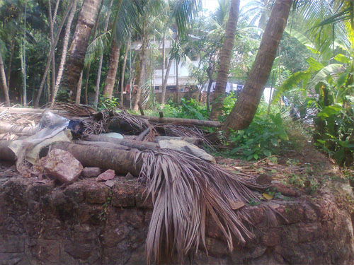 house plot for sale in calicut , wast hill