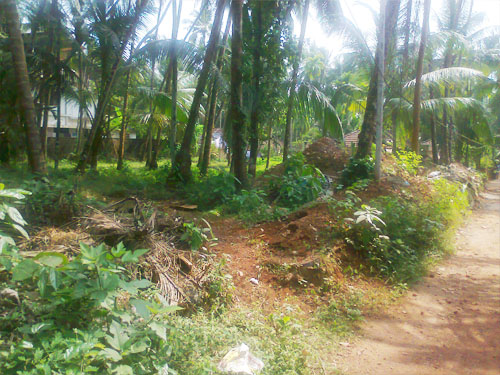 house plot for sale in calicut, wast hill