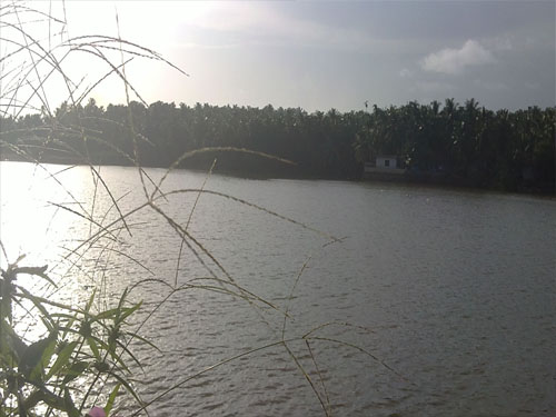 commercial land or sale ferookl in calicut
