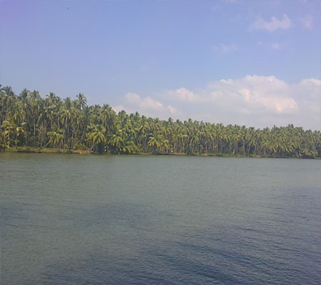 5 acre commercial land for sale in calicut, erinjikkal