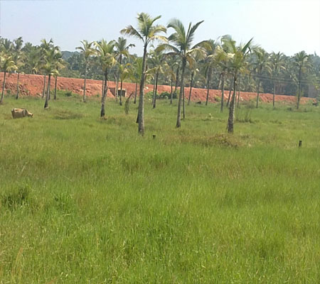 big commercial land for sale by pass road calicut