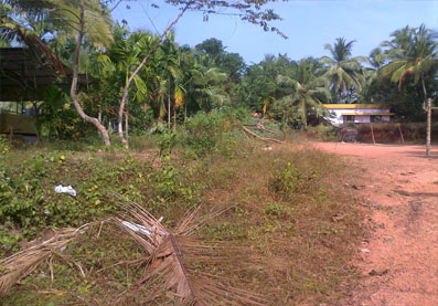 residential plot for sale in calicut , moozhikkal