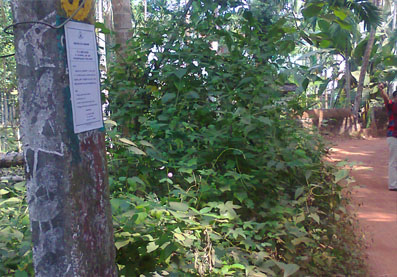 buy commercial property in calicut,kunnamangalm