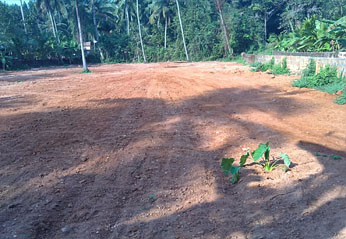 residential plot/villa project land available for sale in calicut,near ngoquarters