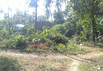 highly suitable land for villa projects,institutions for sale in pottammal-palazhi road,calicut.
