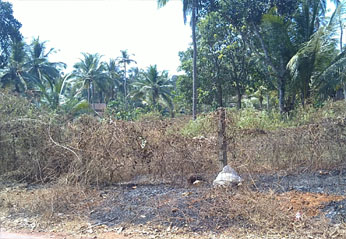 commercial land in calicut ,velliparamba,near calicut medical college.