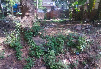 10 cent house plot for sale in vadakara.