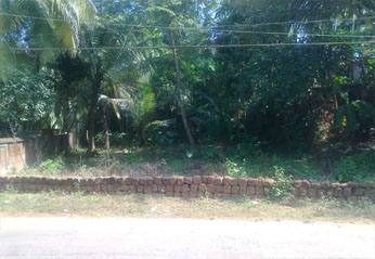 10 cent house plot for sale in krishna nair road