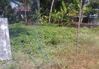 house plot for sale in malaparambu