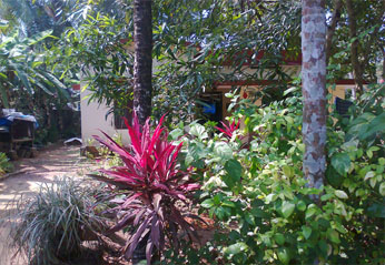 buy house plot in calicut.residential land for sale by owner