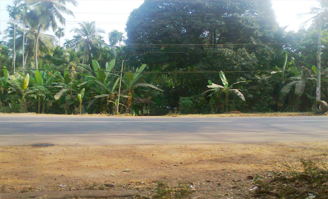 high potential commercial land for sale by the owner