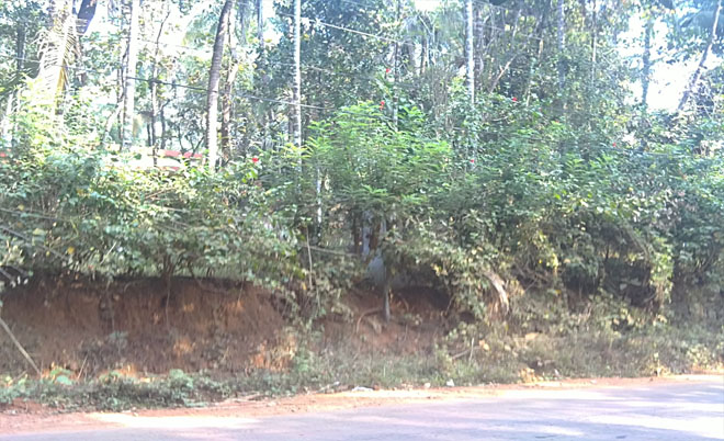 commercial / agriculture / residential land for sale in chathamangalam, calicut