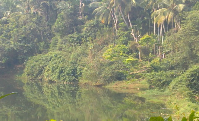 commercial / agriculture / residential land in chathamangalam, calicut