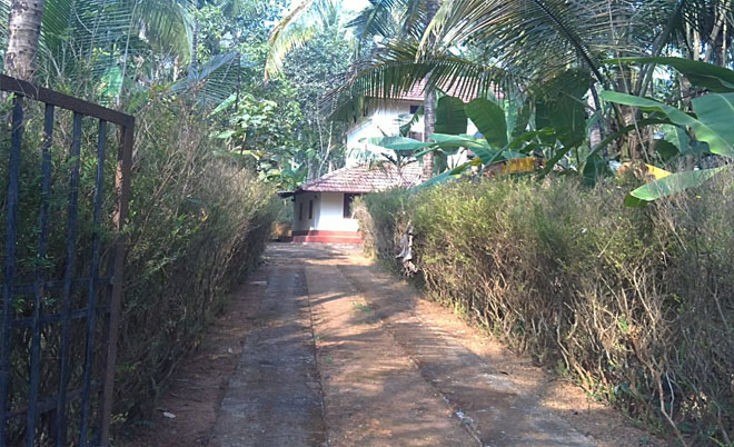 buy commercial / agriculture / residential land in chathamangalam, calicut