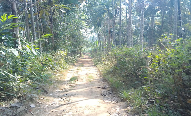 high potential commercial / agriculture / residential land for sale in chathamangalam,