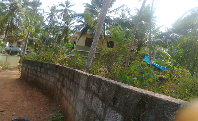 house plot for sale in moozhikkal