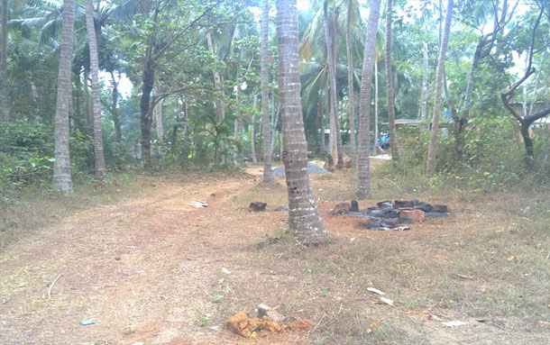 original land commercial / agriculture / residential property for sale in kunduparamba.hot