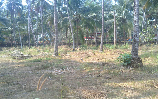 commercial & residential land land for sale
