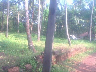 residential land available near annassery,calicut â€” kozhikode