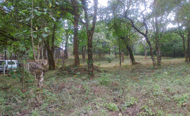 house for sale in wayanad resort area.
