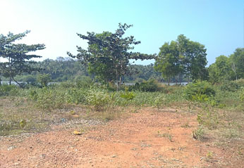 kozhikoderealestate