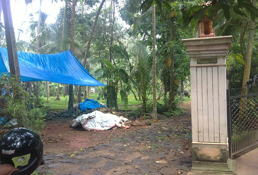 resort land for sale