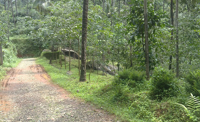 agricultural land for sale