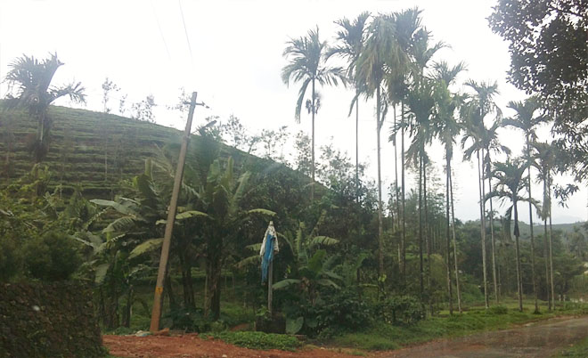 agricultural land for sale