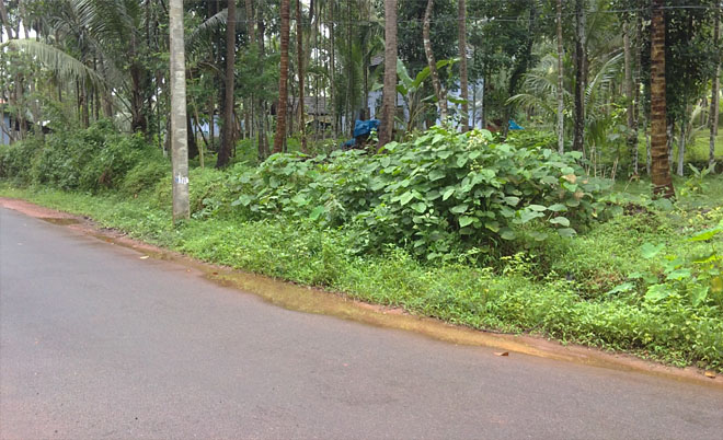 residential land for sale