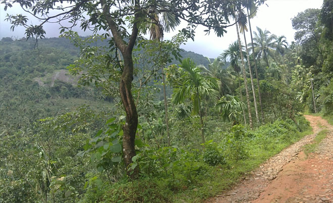agricultural land for sale
