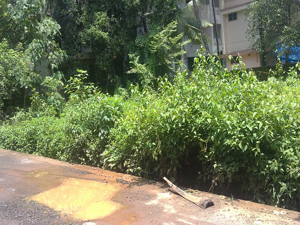 residential land for sale