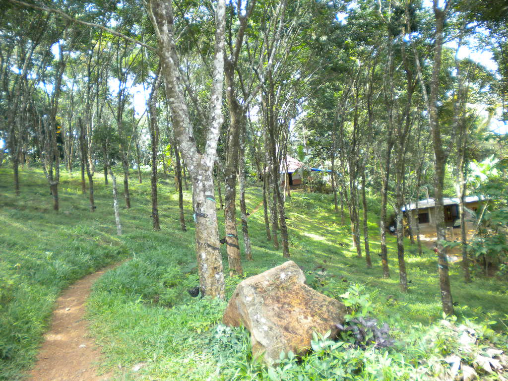 agricultural land for sale