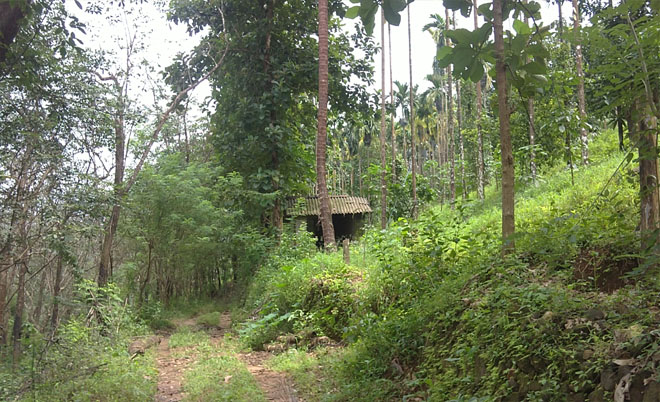 agricultural land for sale