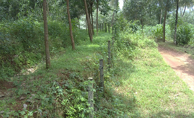 rubber estate for sale