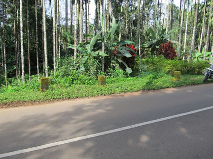 60 cent plot for sale in wayanad bus root road side.godd real
