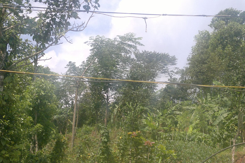 67 cent plot with 2bhk concrete house for sale in mananthavady.agriculture land,farm