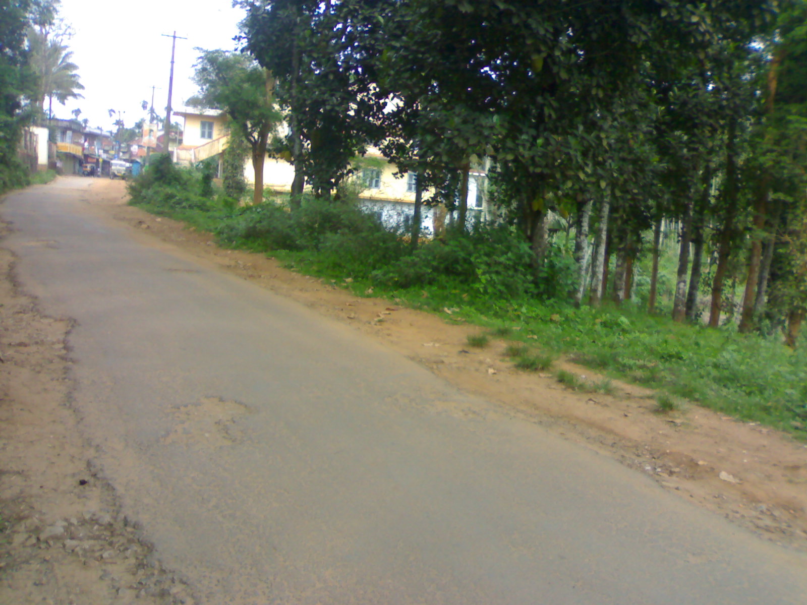 fine comercial land for sale in kenichira busroot side in wayanad district