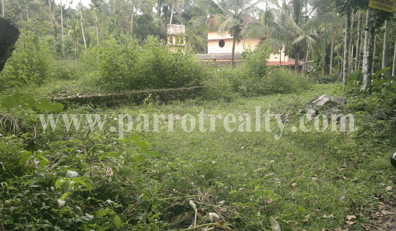 perfect opportunity only for you!!!20 cent plot for sale in wayanad