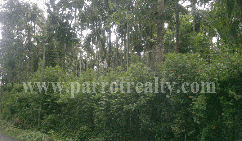 1.5 acre land for sale in pulpally