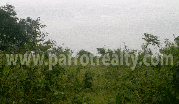 great location in wayanad is ready for you to build your dream