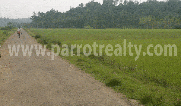 now buy a property in wayanad! discount price!