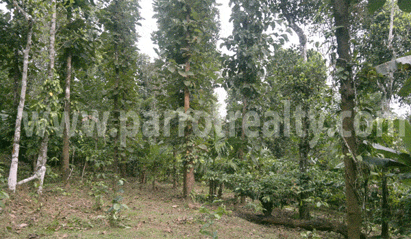 fabulous agricultural acreage with good upside potential!