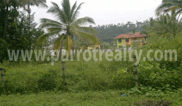 a great place perfectly located in wayanad, definitely worth a look!