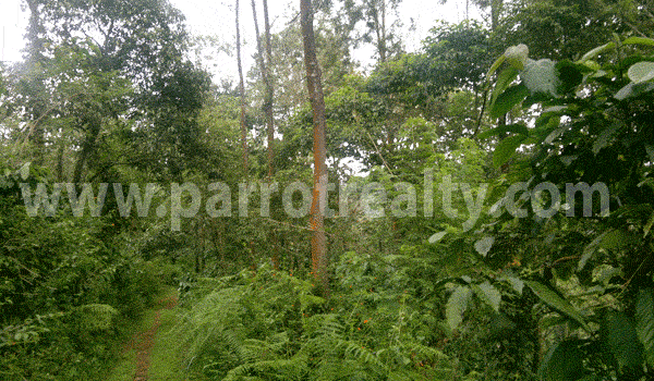 now this is the property you have been looking for! -wayanad district